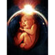 Schofield’s Flowers ECD/Partner Moriartsy’s ‘Child of Earth’ NFT to Launch on First All-Civilian Spaceflight