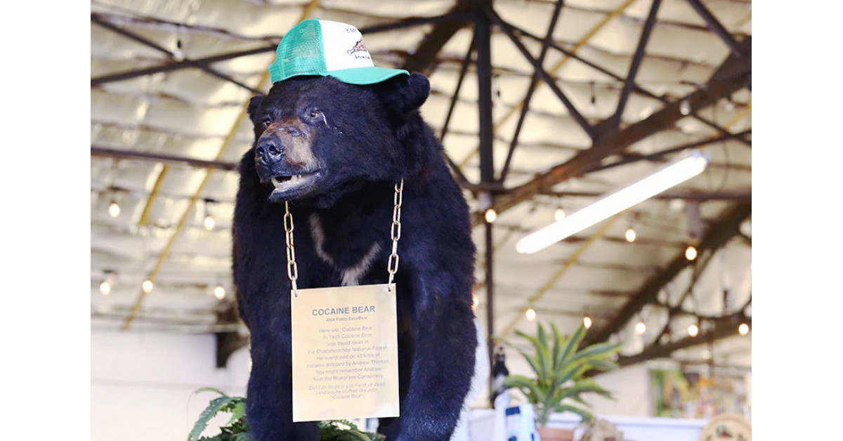 Ripley’s Believe It or Not! Makes Offer to Purchase the Real Cocaine Bear
