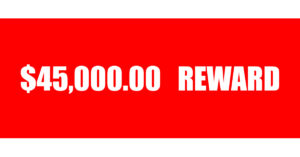$45,000.00 Reward for Return of Equipment Stolen from JXBMovies $45,000.00 Reward for Return of Equipment Stolen from JXBMovies