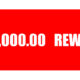 ,000.00 Reward for Return of Equipment Stolen from JXBMovies ,000.00 Reward for Return of Equipment Stolen from JXBMovies