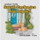 Page Publishing Author Jana M. Castle Releases Children’s Book “Small Packages Big Impact”